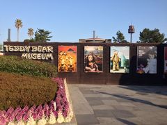 -济州岛泰迪熊博物馆