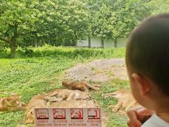 -西安秦岭野生动物园