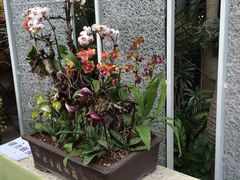 -北京植物园-展览温室