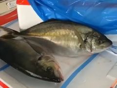 -王四营海鲜市场