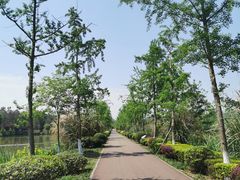 -白鹭湾湿地公园