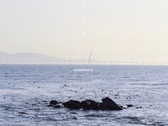 -深圳湾公园(南山区)