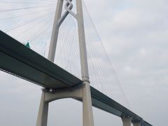 -招商蛇口邮轮母港(观光客运)