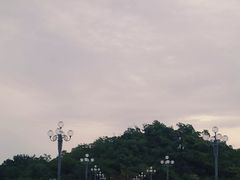 -野狸岛