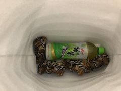 -小陆莲花蟹园农家乐(莲花岛店)