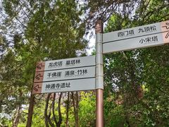 -四门塔风景区