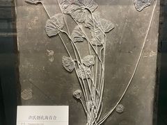 -大连自然博物馆