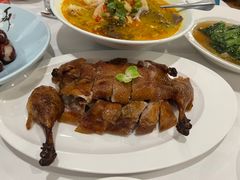 -圆苑(金茂店)