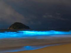 -西涌国际滨海旅游区