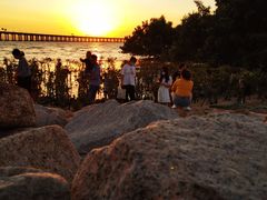 -宝安西湾红树林湿地公园