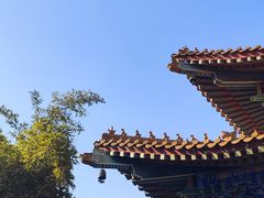 -西安大兴善寺