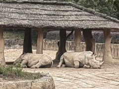 -杭州野生动物世界