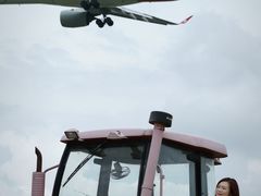 -空港花田景区