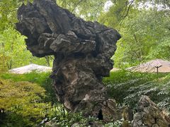 -申粤轩酒楼·三十年粤菜经典(丁香花园店)