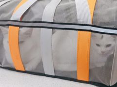 -凯瑞希宠物医院·狂犬免疫·微创·皮肤科