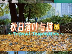 -迎泽公园
