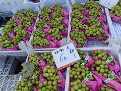 -大连果菜批发市场