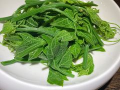 橄榄油拌脆尖-锦庐道地川菜(来福士店)