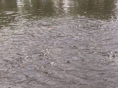 酷鱼垂钓CLUB-酷鱼垂钓CLUB(朝阳区博大路店 )