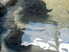 -鸿通城购物中心