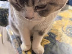 -平行世界·猫咖(首经贸店)