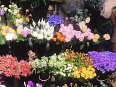 -ChaKo Flora ·茶子花艺 (市北店)