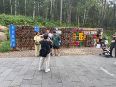-汤旺河林海奇石景区
