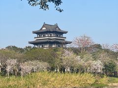 -海珠湖公园