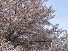 -苏州上方山国家森林公园