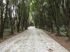 -大湾区中央湿地公园