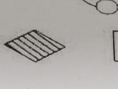 -老白家面馆(测绘东路总店)