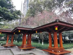 -温江公园