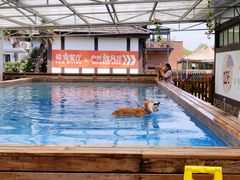 -太阳岛度假酒店