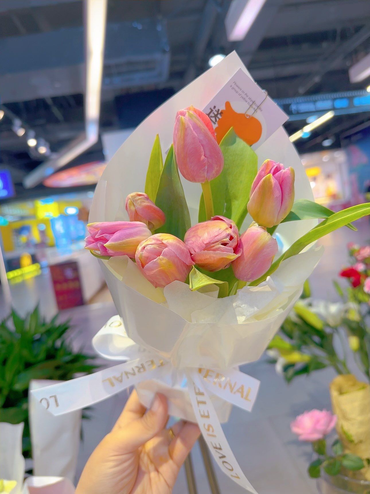 郁金香小花束
