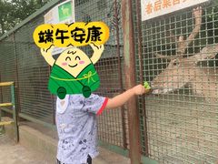 -甘棠公园
