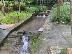 -火炉山森林公园