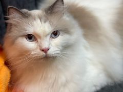 -暗楼·剧本杀·桌游