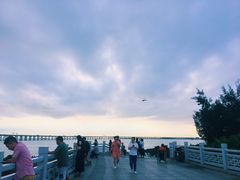 -宝安西湾红树林湿地公园