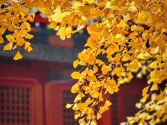 -承恩寺
