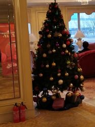 -上海虹桥锦江大酒店·宴会厅