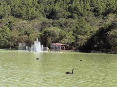 -广州白江湖森林公园