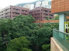 -香港大学