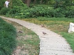 -苏州河梦清园环保主题公园