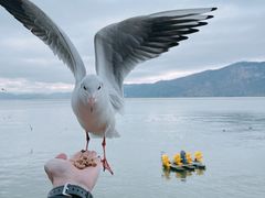 -滇池海埂公园