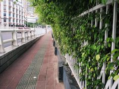 -演武大桥观景平台