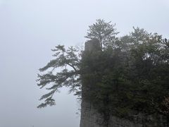 -恩施大峡谷