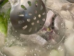 -正能量脆肉鲩火锅