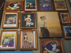 -猫咪博物馆(顶澳仔猫街店)