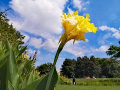 -上海共青森林公园