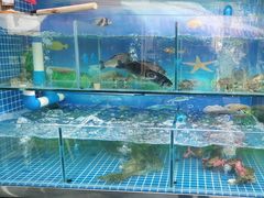 -牟记江湖重庆地标特色菜鱼蛋海鲜羊蝎子(巴南区黑金冠十多年好店)